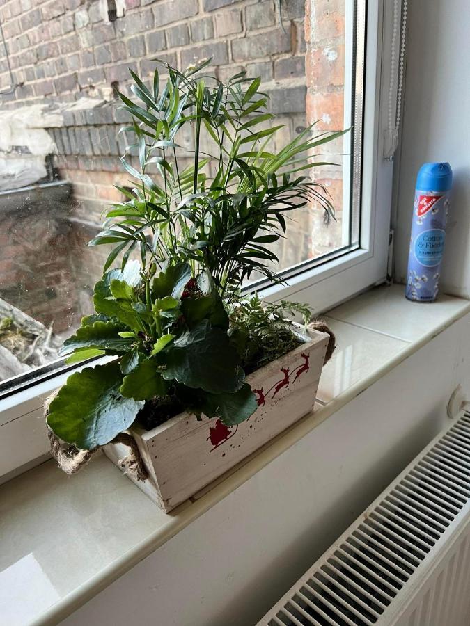 Wohnung 18 ルターシュタット・アイスレーベン エクステリア 写真