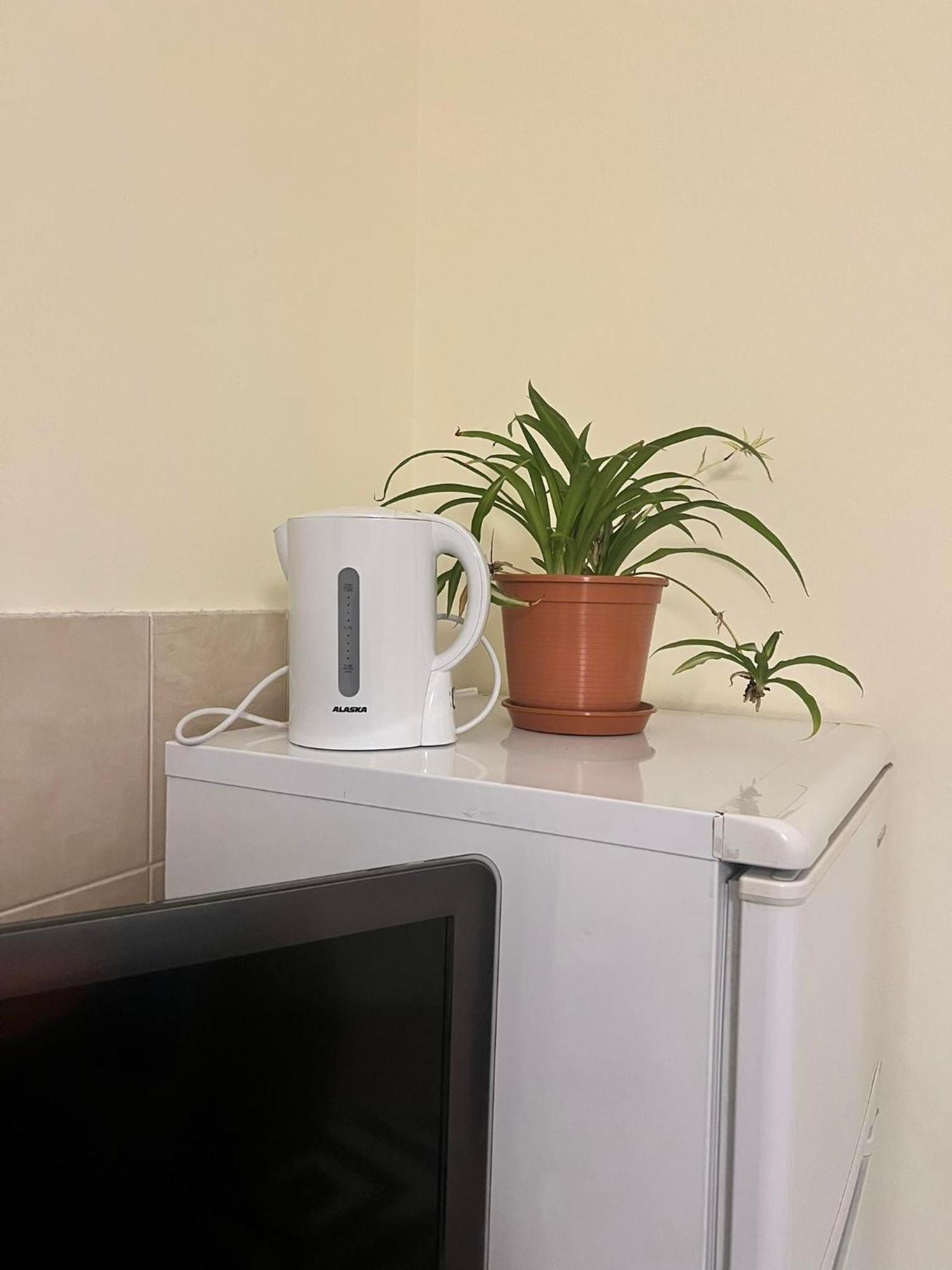 Wohnung 18 ルターシュタット・アイスレーベン エクステリア 写真